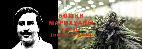 сатива Приозерск