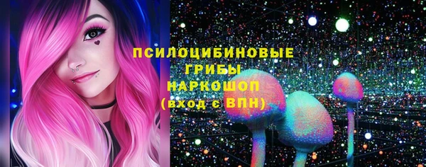 сатива Приозерск